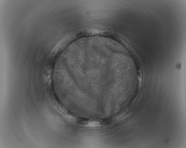 X0000114180462200911051554