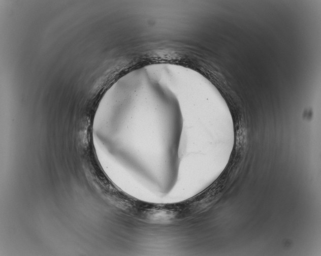 X0000114180464200911051554