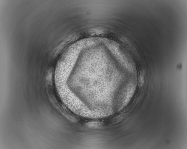 X0000114180468200911051554