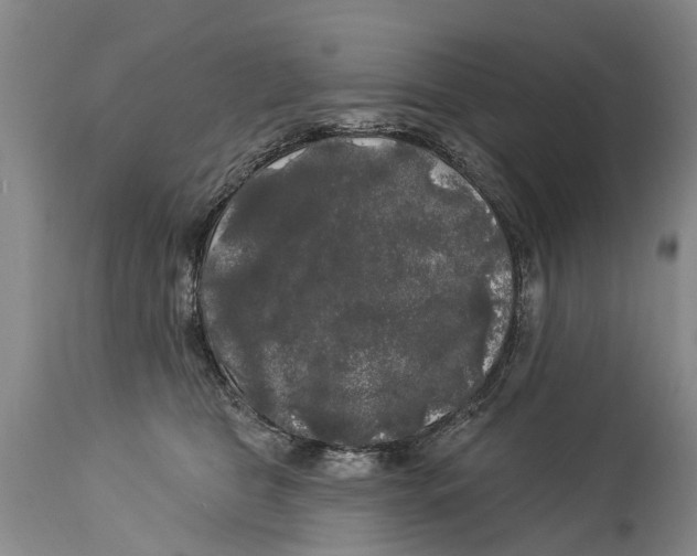 X0000114180469200911051554