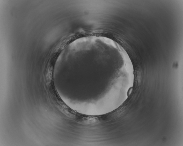 X0000114180475200911051554