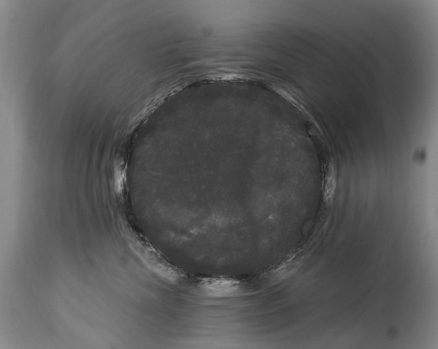 X0000114180476200911051554