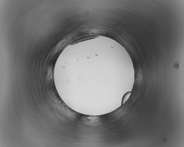 X0000114180478200911051554