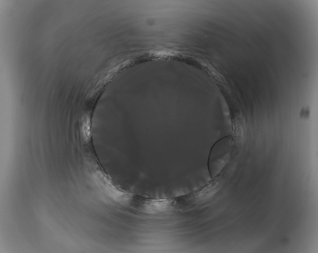 X0000114180479200911051554