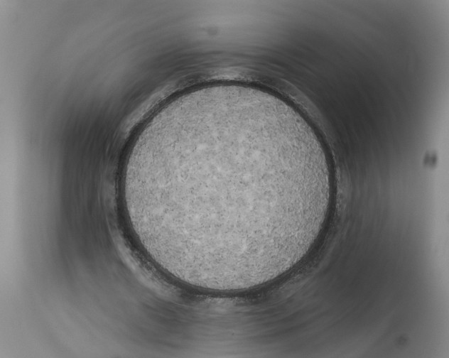 X0000114180482200911051554