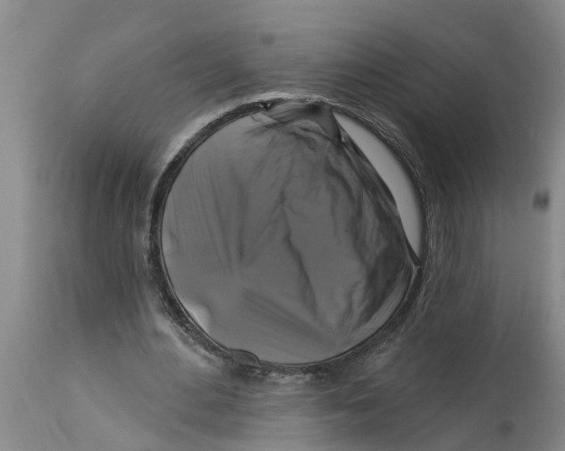 X0000114180484200911051554