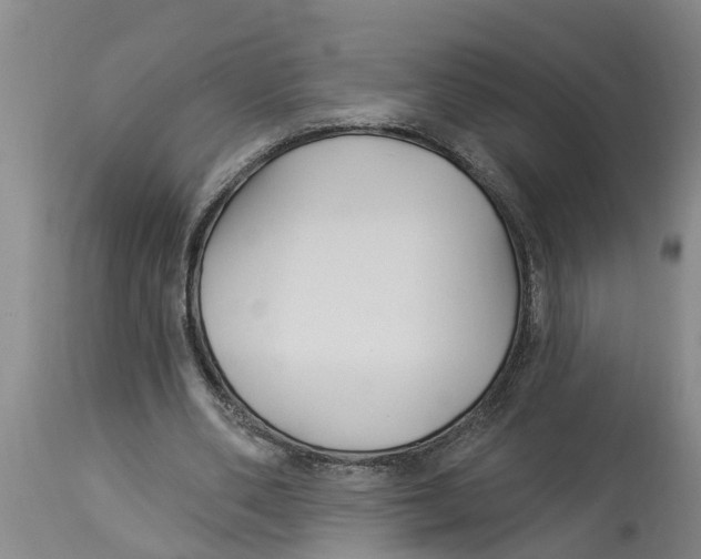 X0000114180486200911051554