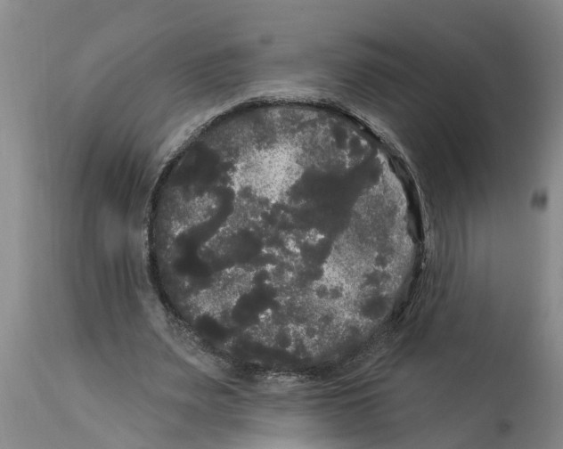 X0000114180487200911051554