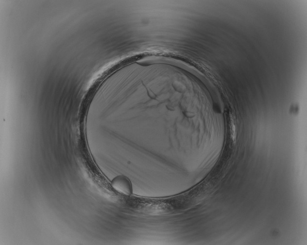 X0000114180488200911051554