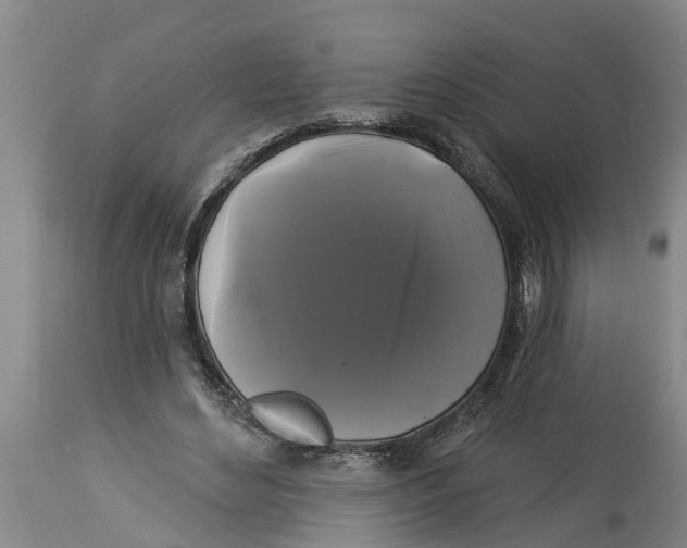 X0000114180492200911051553