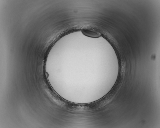 X0000114180493200911051553