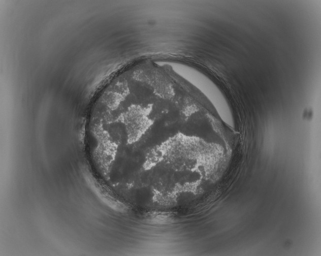 X0000114180495200911051553