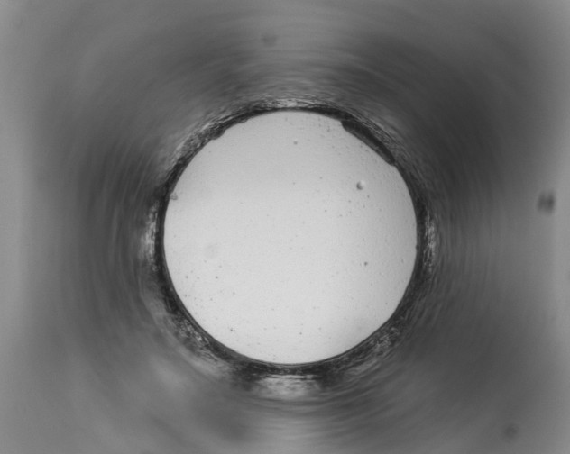 X0000114180499200911051553