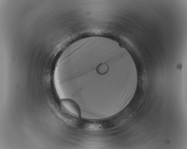 X0000114180500200911051553