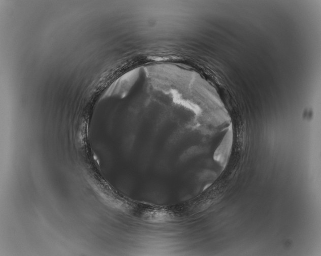 X0000114180503200911051553