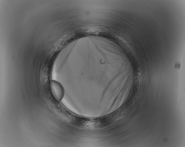 X0000114180504200911051553