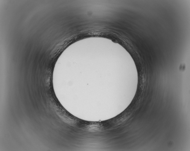 X0000114180505200911051553