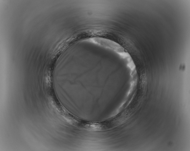 X0000114180506200911051553