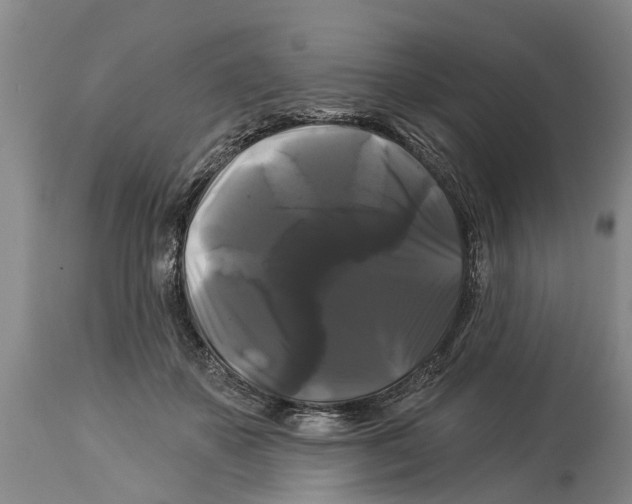 X0000114180507200911051553