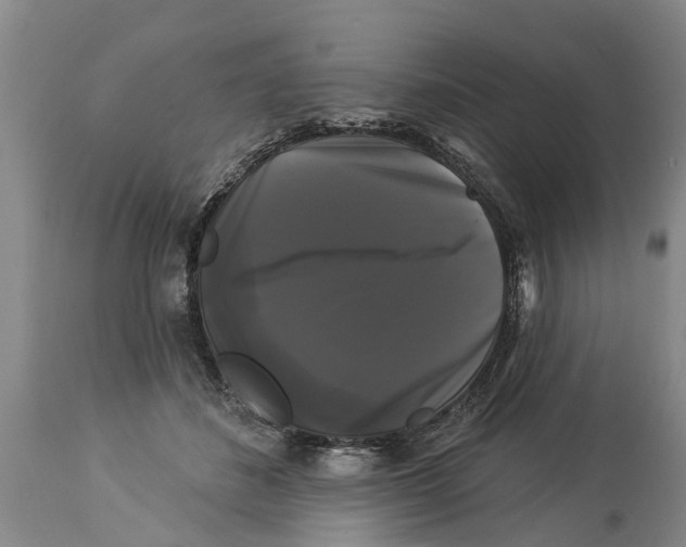 X0000114180508200911051553