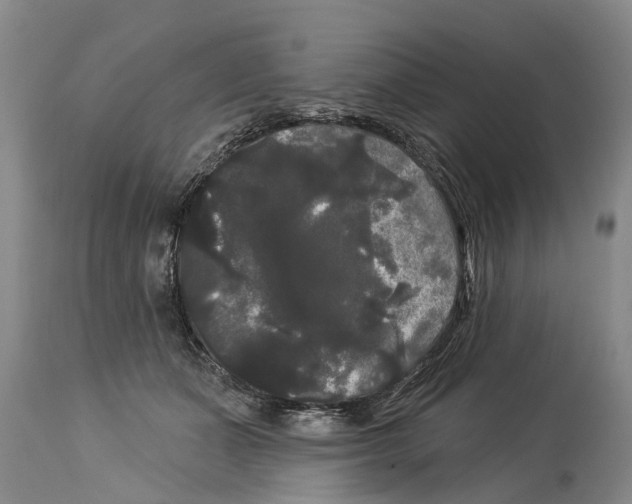 X0000114180511200911051553