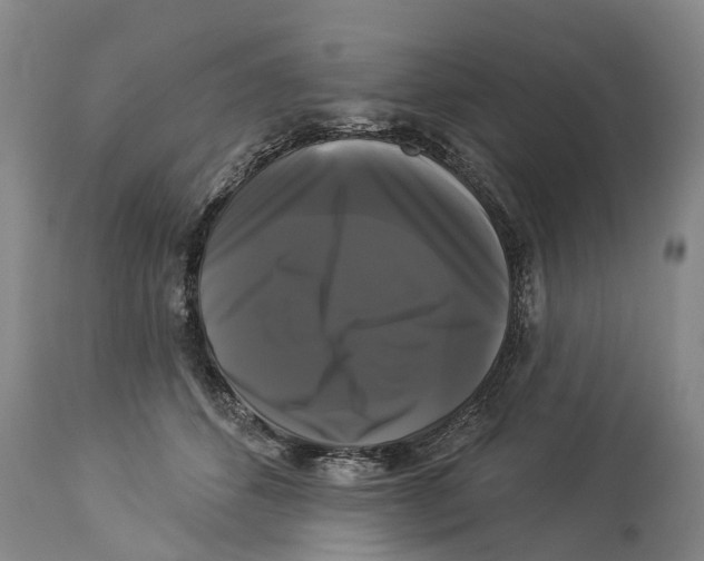 X0000114180512200911051553