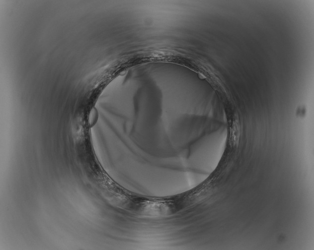 X0000114180520200911051553