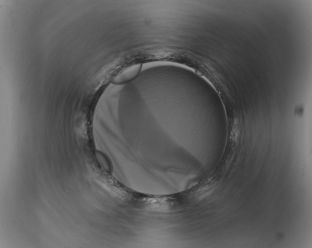 X0000114180524200911051553