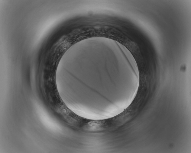 X0000114180526200911051553