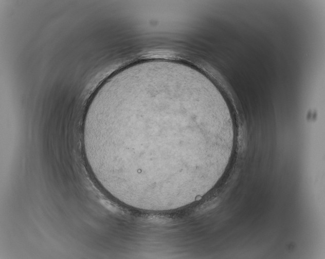 X0000114180529200911051552