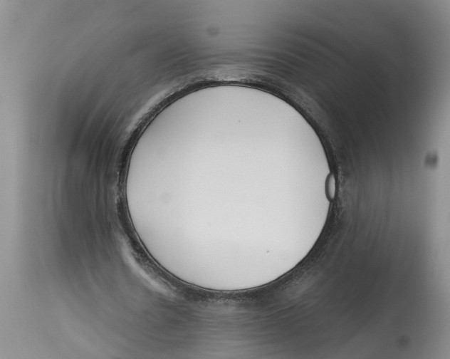 X0000114180530200911051552