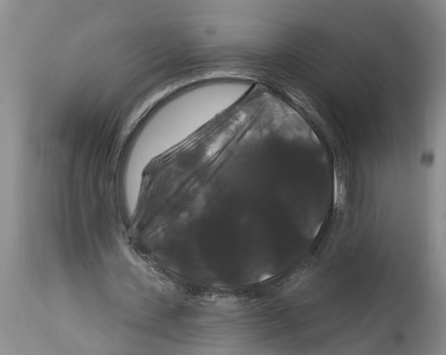 X0000114180531200911051552