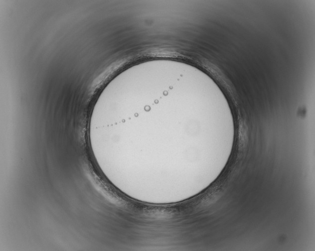 X0000114180533200911051552