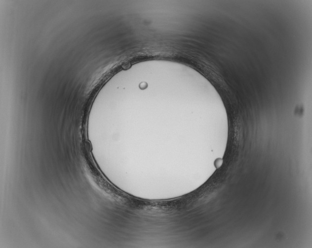 X0000114180538200911051552