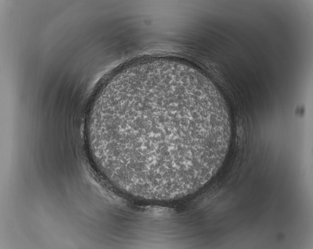 X0000114180539200911051552