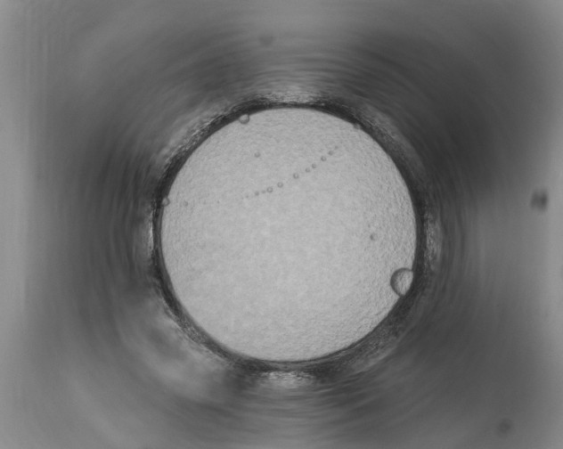 X0000114180541200911051552