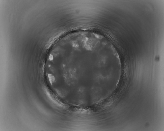 X0000114180542200911051553