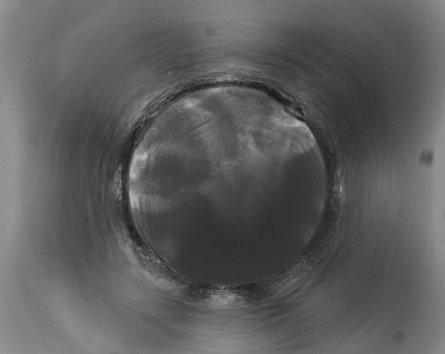 X0000114180547200911051553