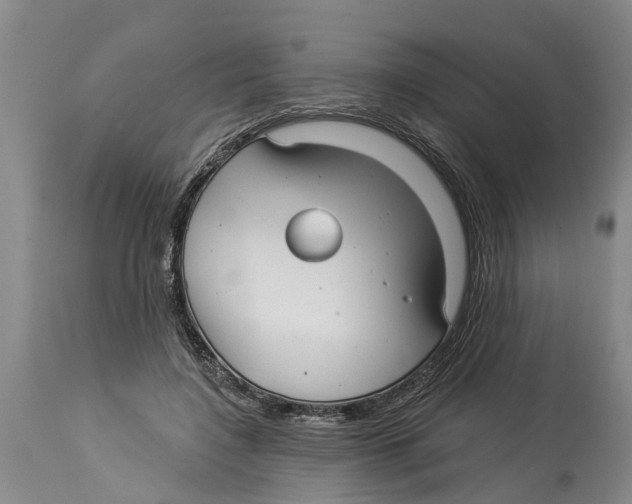 X0000114180548200911051553