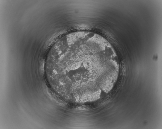 X0000114180550200911051553