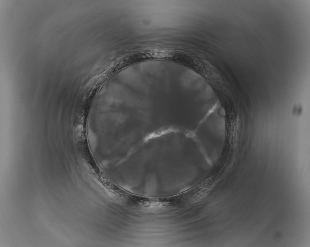 X0000114180553200911051553