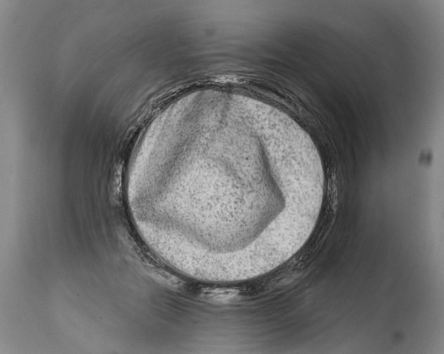 X0000114180554200911051553