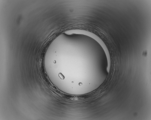 X0000114180558200911051553