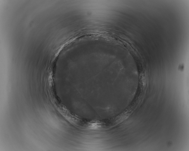 X0000114180564200911051553