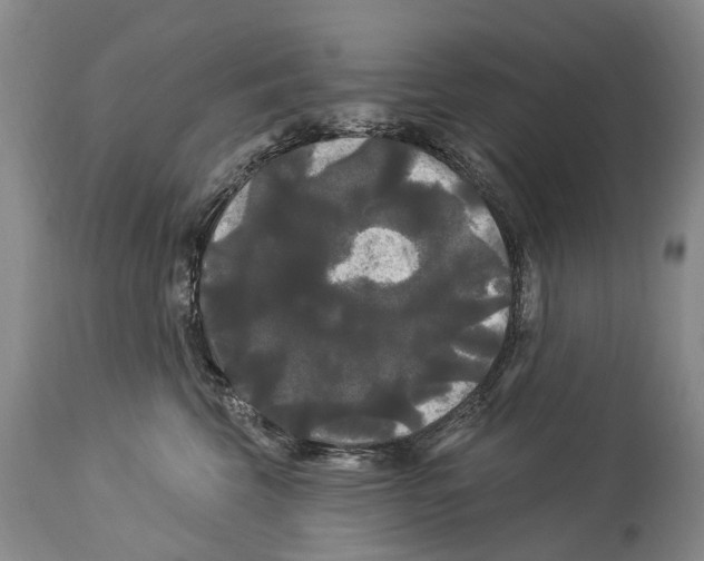 X0000114180569200911051553