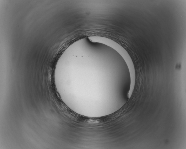 X0000114180570200911051553