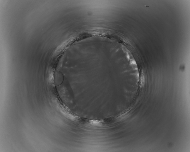 X0000114180573200911051553