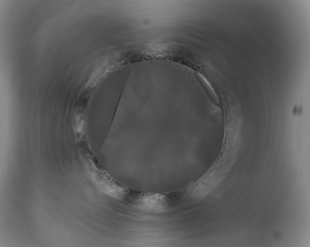 X0000114180576200911051553