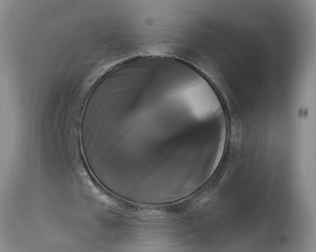 X0000114180577200911051552