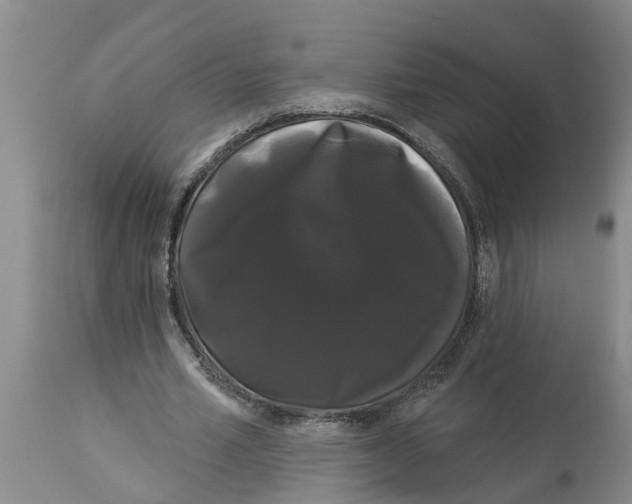 X0000114180581200911051552